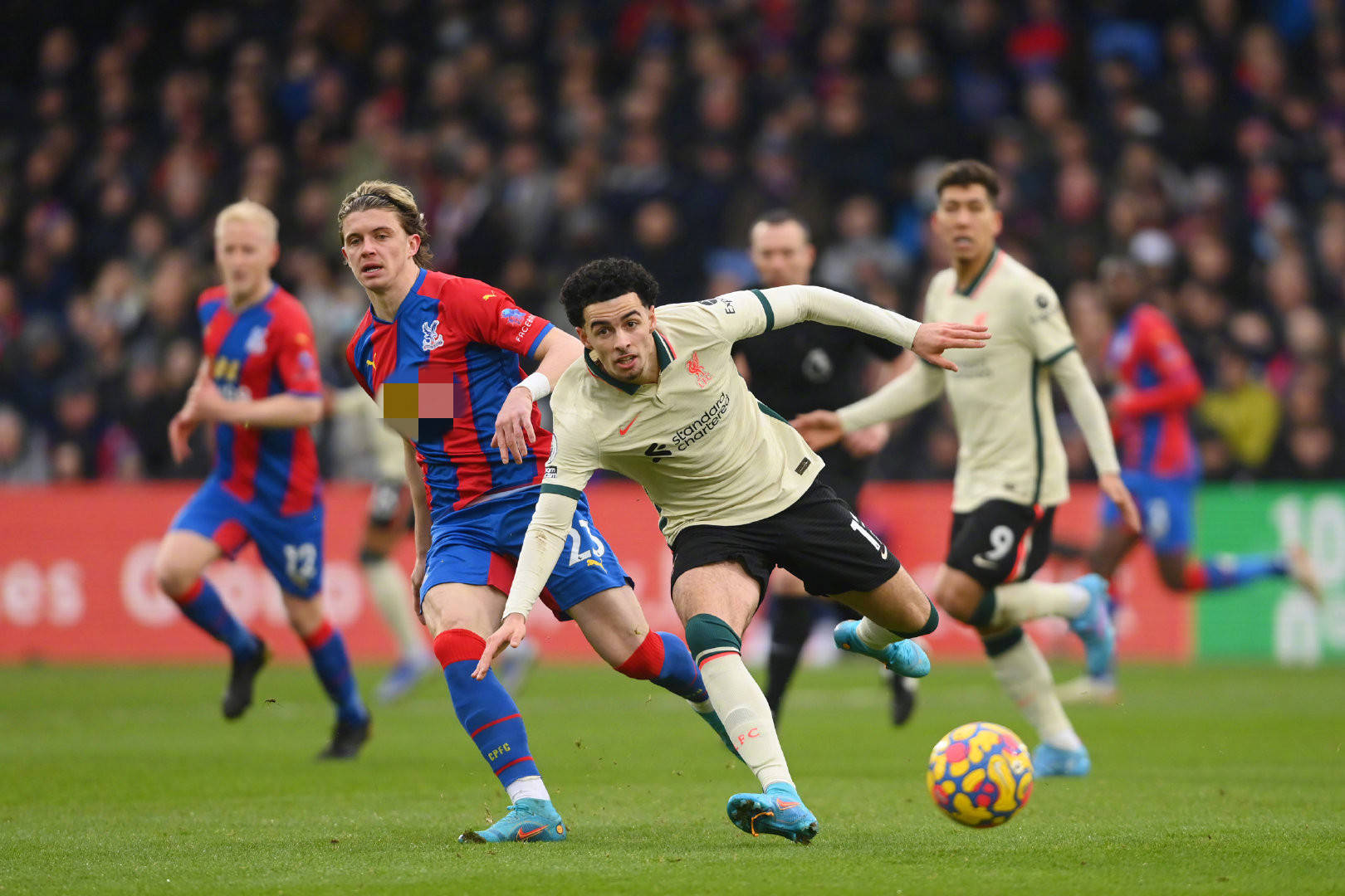 在新加坡的 在新加坡的